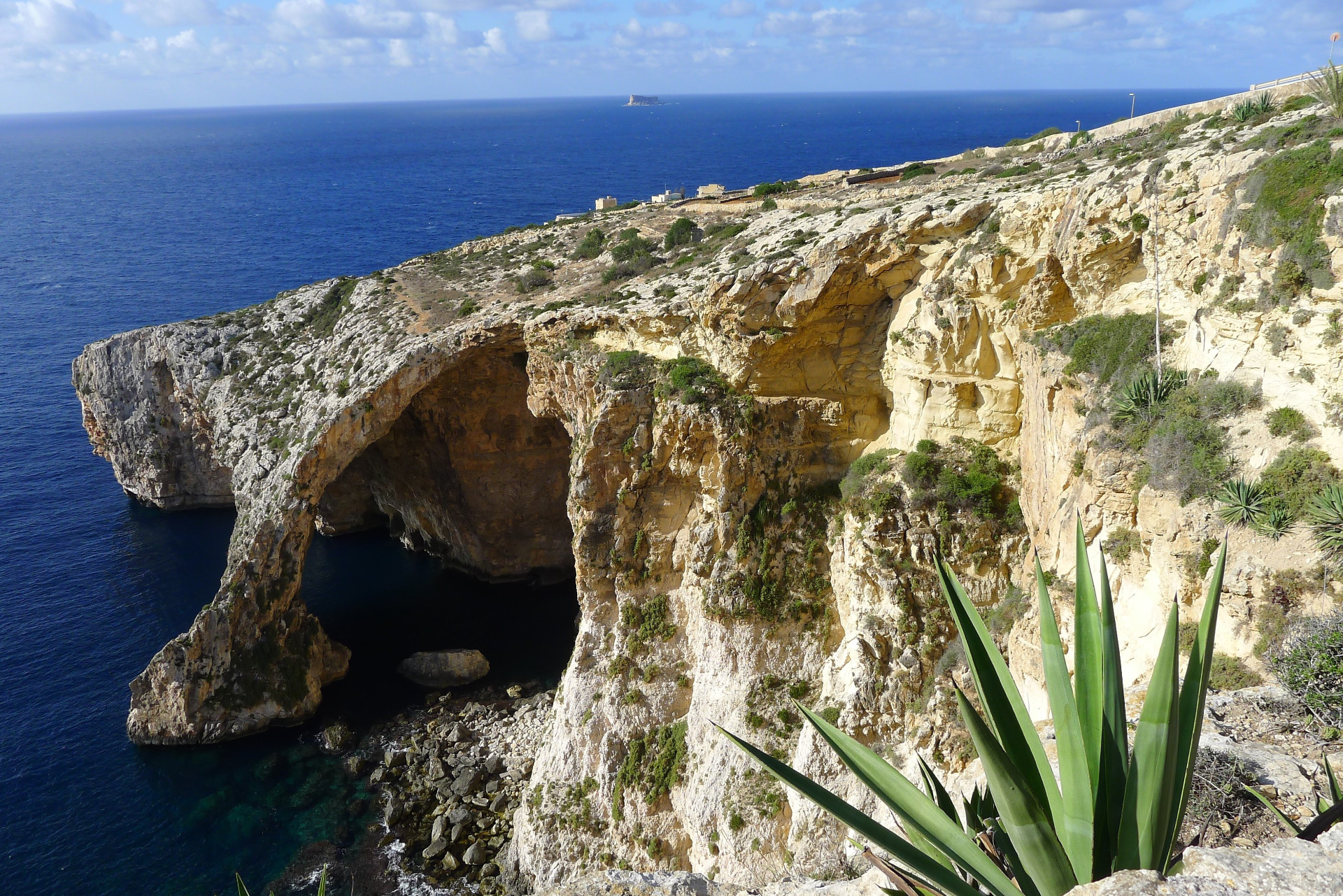 Malta. Gozon saari on karun kaunis matkakohde. Kallioinen merenranta, agavekasveja ja sininen meri, taustalla kaukainen saari ja rakennuksia.