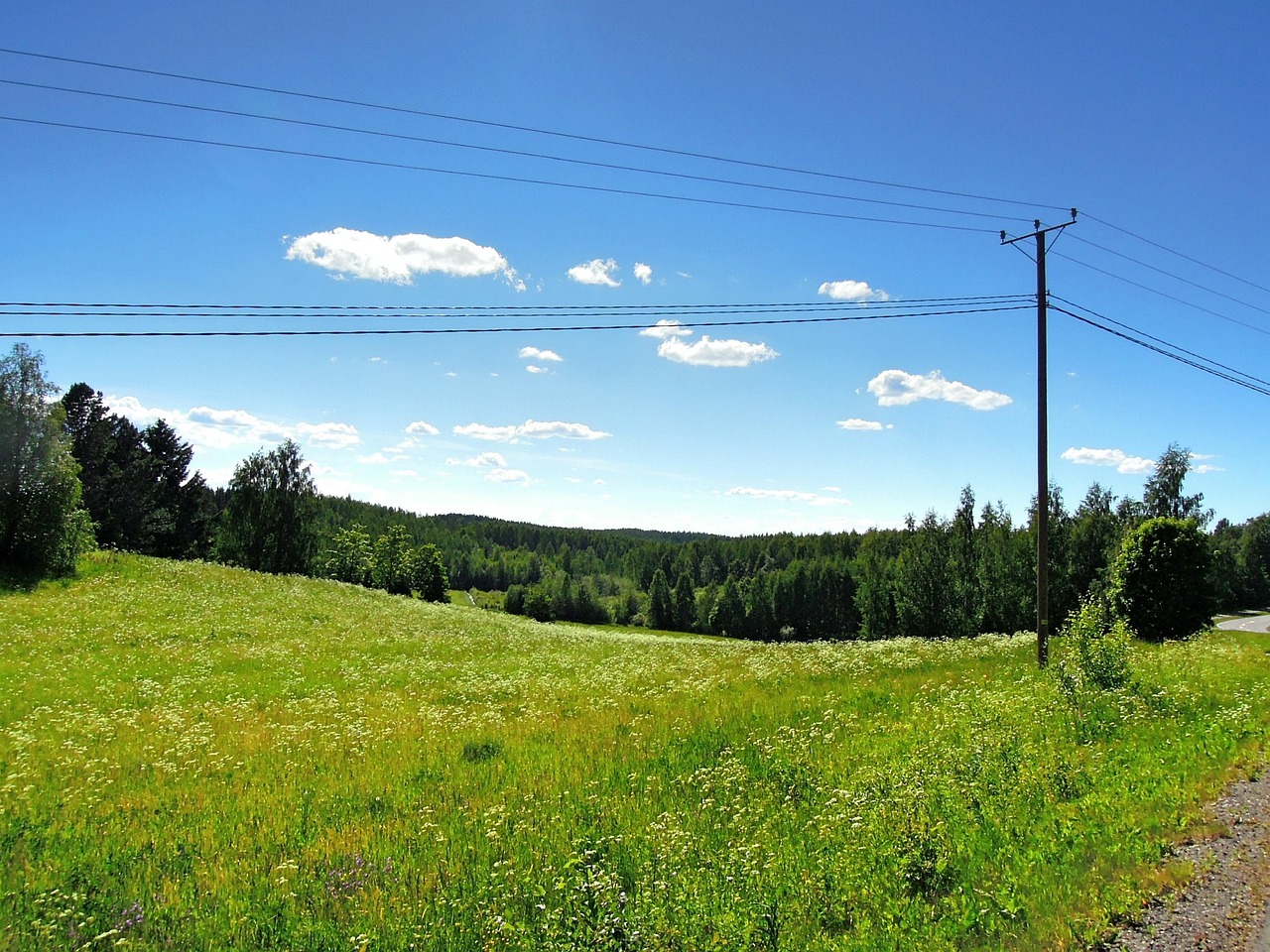Tohmajärvi tunnetaan kauniista, vehreästä luonnosta.
Vihreä niitty, metsänreuna ja sininen taivas, sähköpylväs sekä johdot näkyvät etualalla.