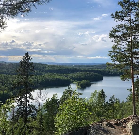 Sysmän Kammiovuori on suosittu retkeilypaikka sekä Itä-Hämeen korkein paikka.
Metsäinen järvimaisema, mäntyjä etualalla, laaja vesialue ja kaukaisia kukkuloita pilvisellä taivaalla.