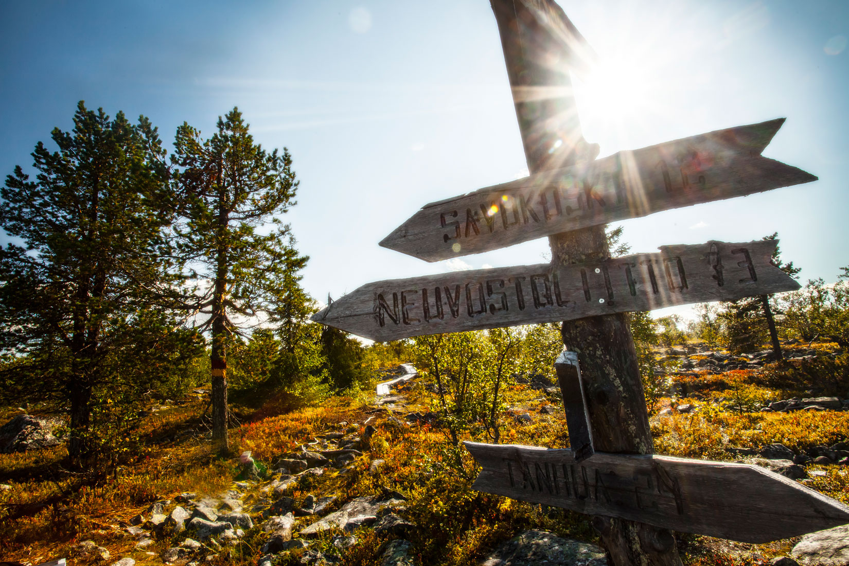 Savukosken kunnassa on erinomaisia vaellusreittejä.
Ruskea puinen opasteviitta, jossa tekstit “Savukoski” ja “Neuvostoliitto”, taustalla mäntyjä ja auringonpaiste.