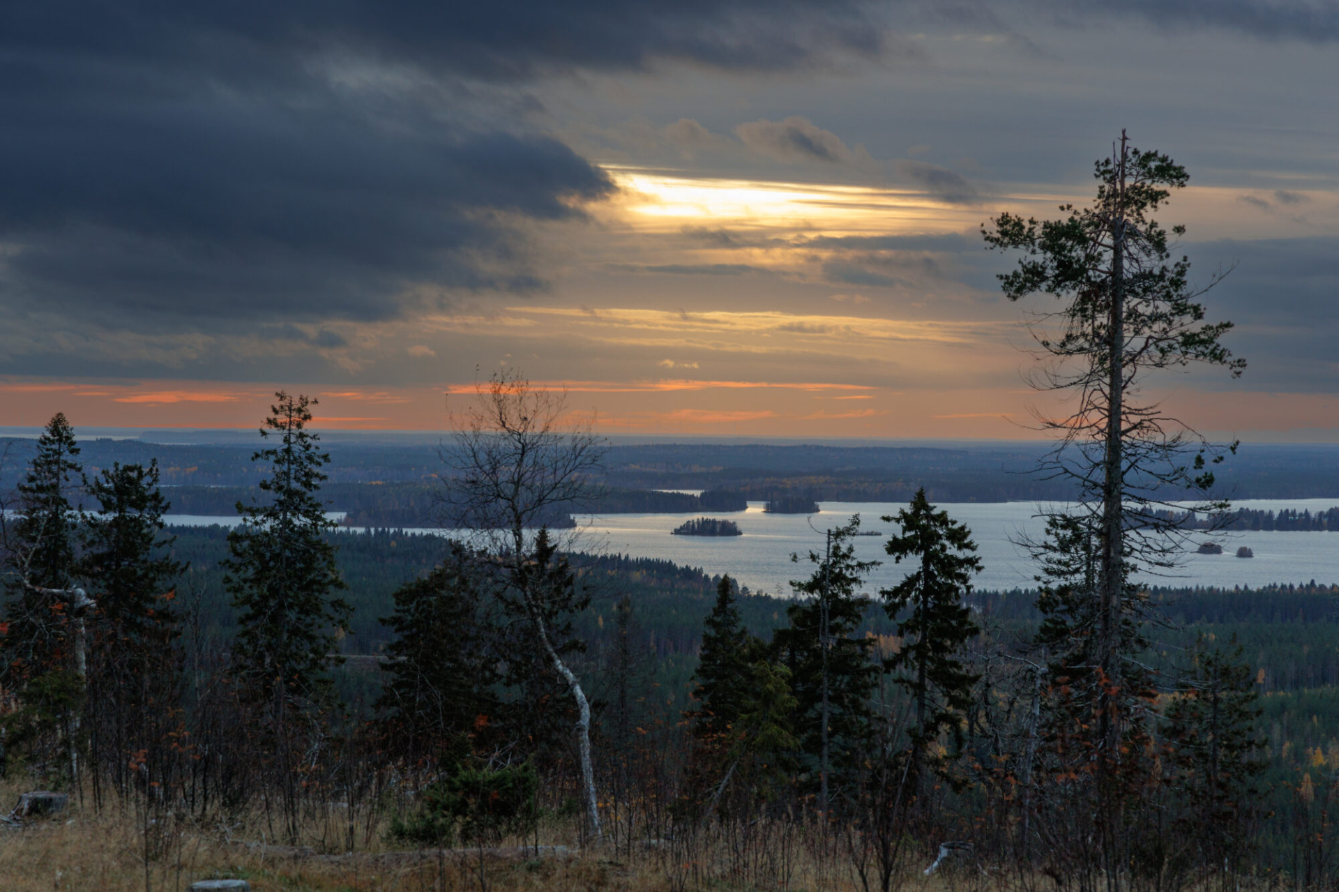 Kivesvaara Paltamolla on ihastuttava luontomatkailun kohde.
Auringonlaskun taivas, metsää ja järvimaisema, etualalla puut ja kaukana siintävä saari.