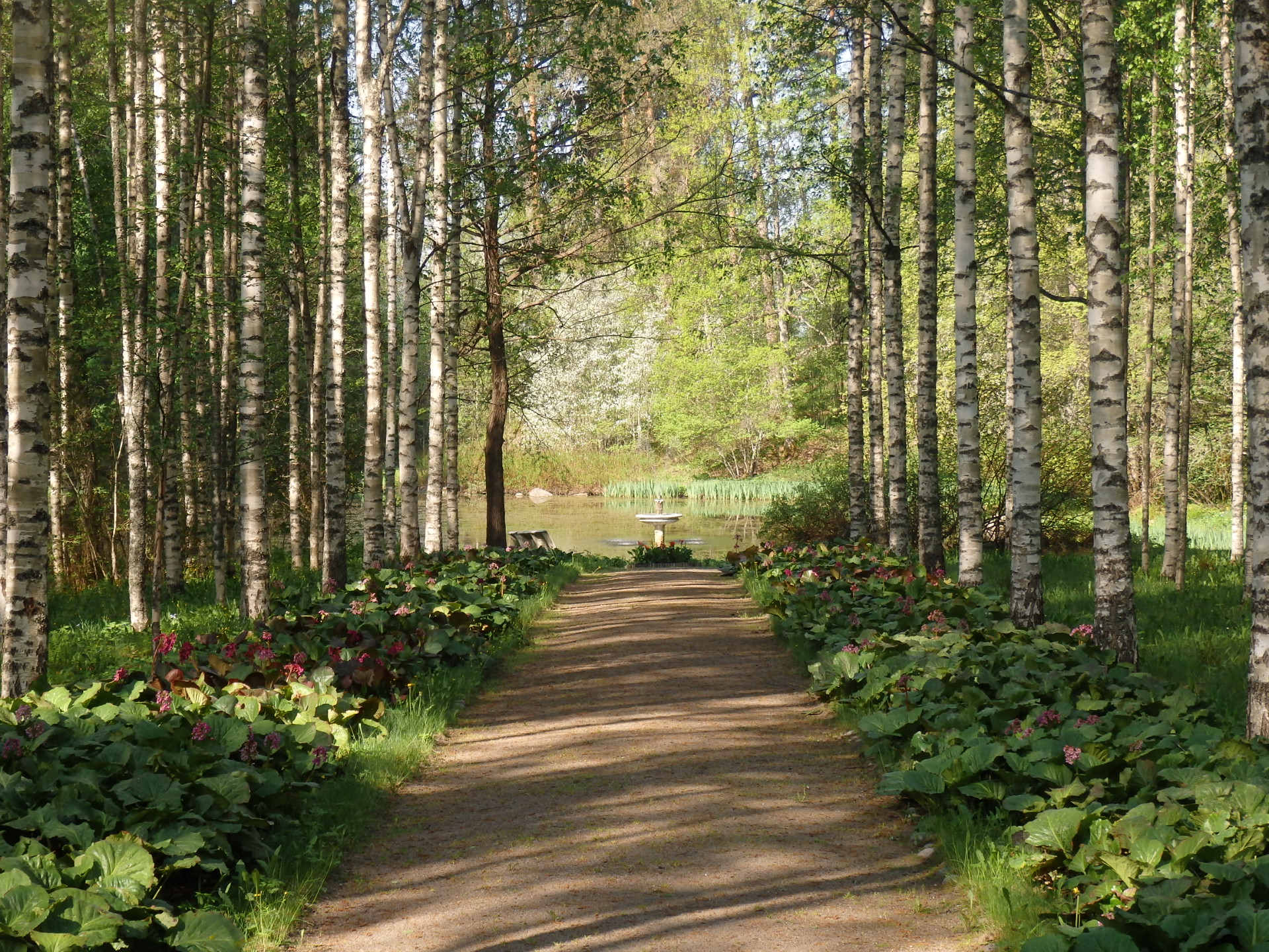 Huovilan puisto Kärkölässä Päijät-Hämeessä.
Koivulehtoa reunustava polku, kukkapenkit ja lampi, taustalla valoa suodattavat puiden rungot.