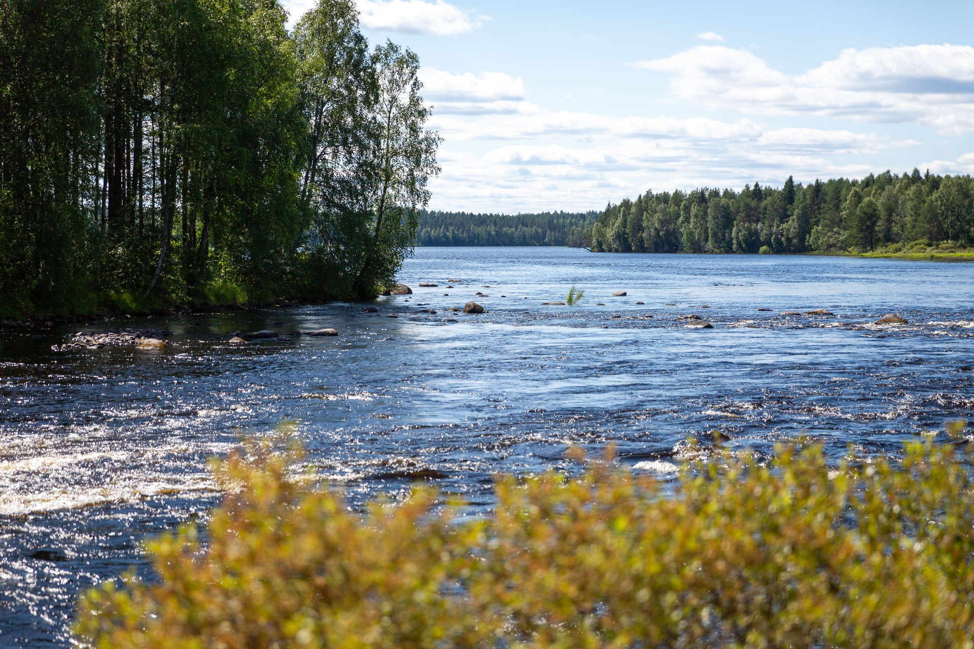 Pajakkakoski - Kuhmo.
Leveä joki virtaa kivien ja puiden reunustamana, taustalla metsää ja pilvinen taivas.