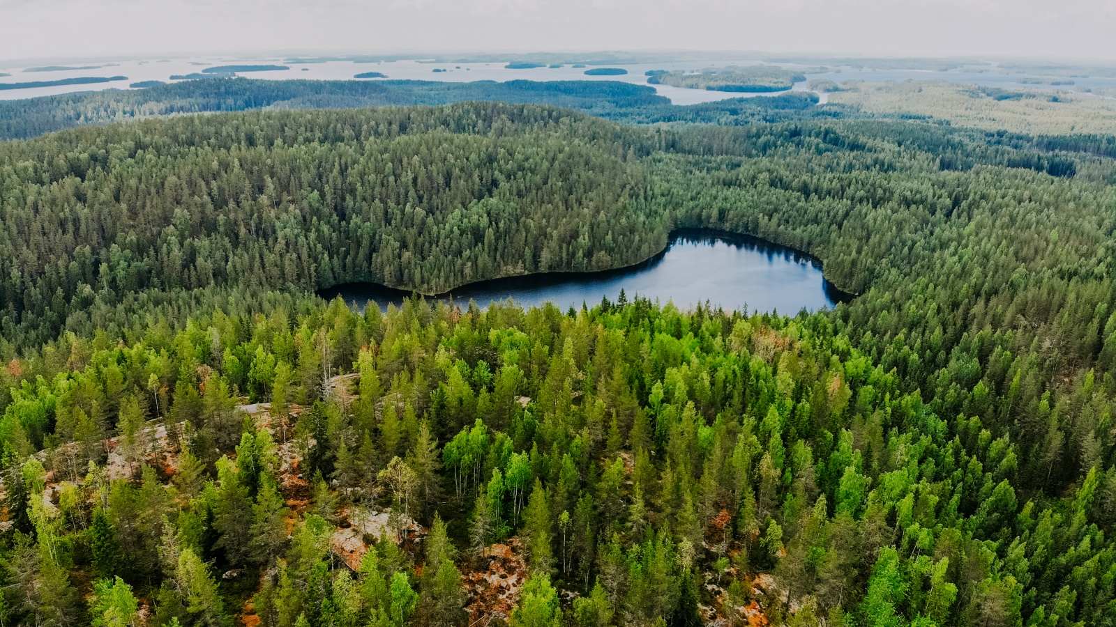Etelä-Konneveden kansallispuisto järvi- ja kalliomaisemassa.
Ilmakuva laajasta metsämaisemasta, jossa järvi kaartuu keskellä ja lukuisia saaria kauempana.